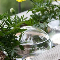 Water From A Stone