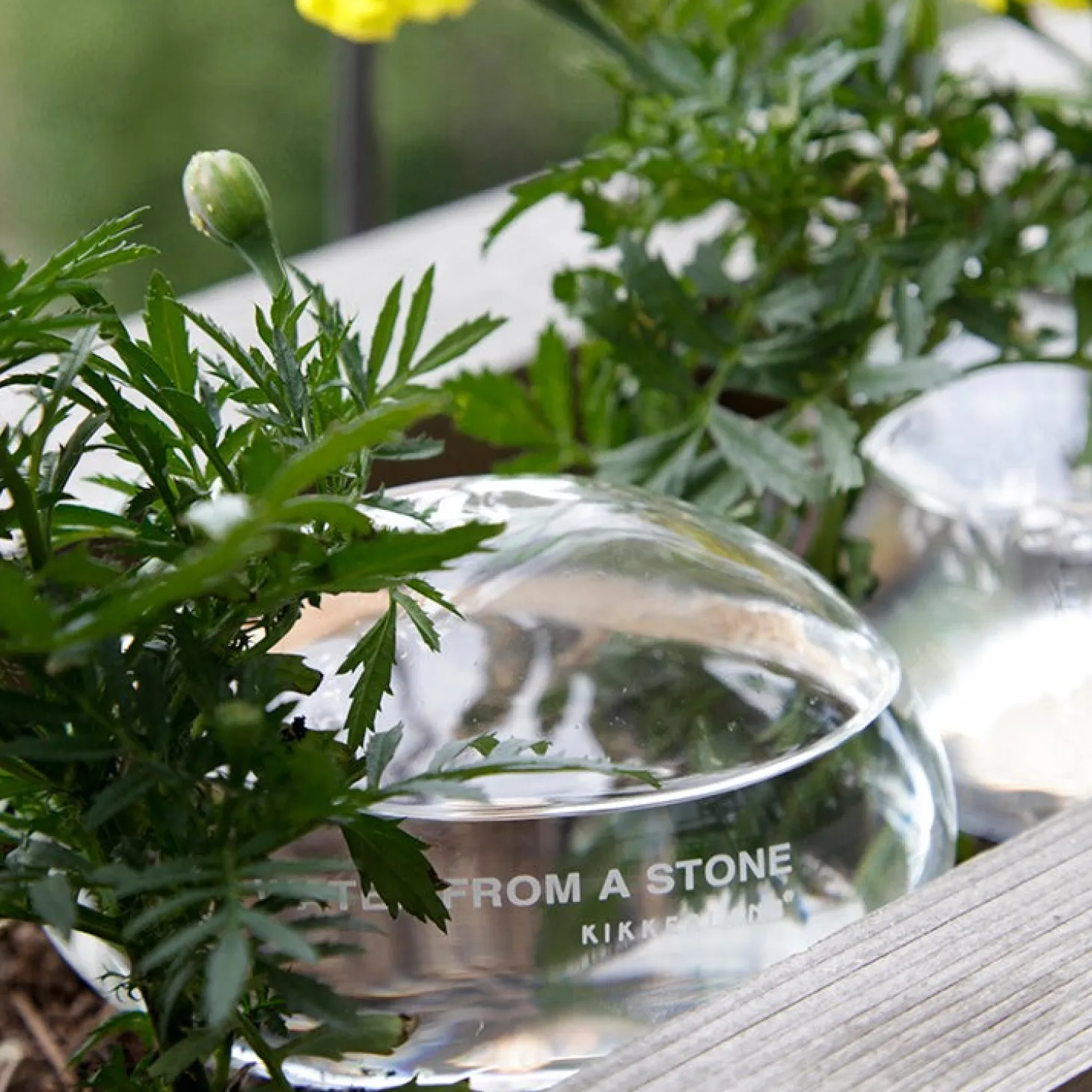 Water From A Stone