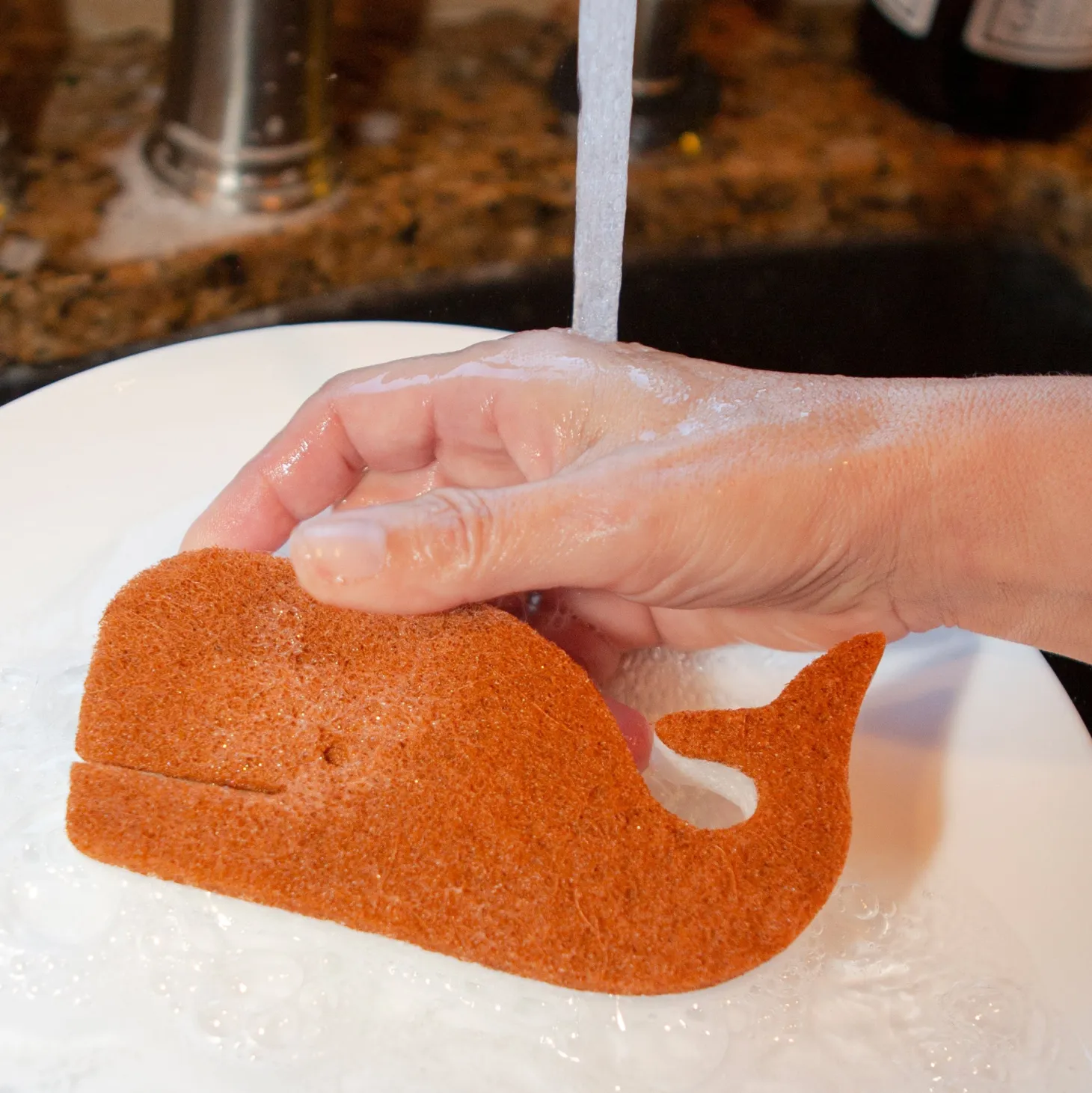 Whale Scrub Sponges