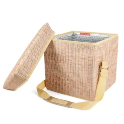 Wicker Picnic Cooler Seat