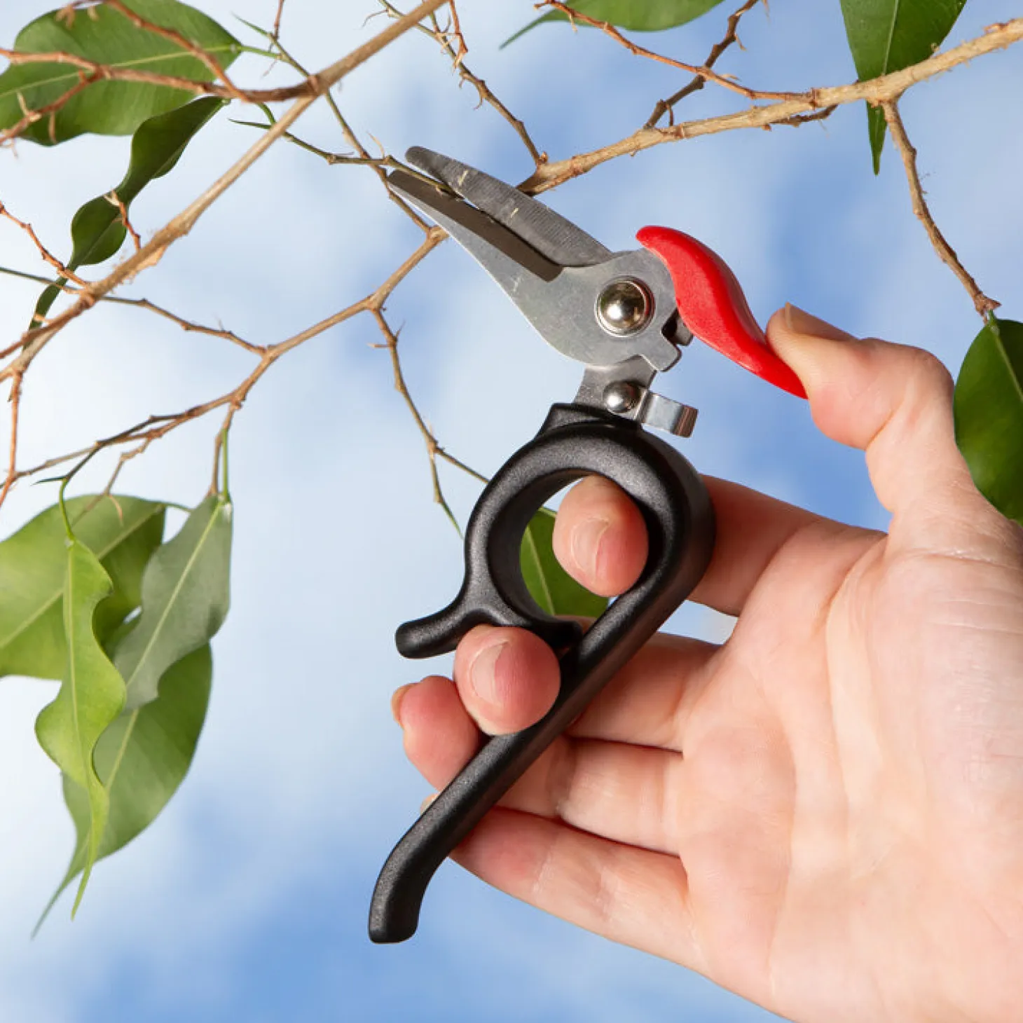 Woodpecker Garden Shears